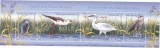 ROMANIA 2009 - PASARI DIN DELTA DUNARII - BOLC - LP 1827, Fauna, Nestampilat