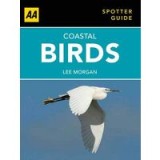 Coastal Birds