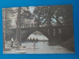 CPIB 23192 CARTE POSTALA - PITESTI. PARCUL TRIVALE, NECIRCULATA