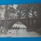 CPIB 23192 CARTE POSTALA - PITESTI. PARCUL TRIVALE, NECIRCULATA