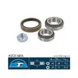 Set rulment roata FIAT DUCATO bus (230) (1994 - 2002) BTA H2C016BTA