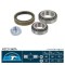 Set rulment roata FIAT DUCATO bus (230) (1994 - 2002) BTA H2C016BTA
