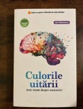 Vasi Rădulescu, Culorile uitării (mic tratat despre memorie)