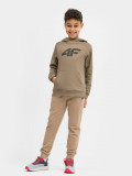 Pantaloni jogger de molton pentru băieți, 4F Sportswear