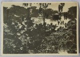 Carte postala, Scoala Centrala de Fete din Bucuresti. Gradina mare, perioada interbelica