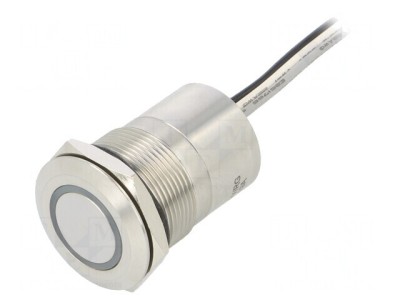 Comutator Capacitiv SPST-NO 12V IP68 foto