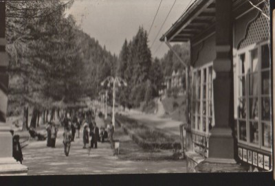 CPIB 21106 CARTE POSTALA - SLANIC MOLDOVA. VEDERE DIN PARC, RPR foto