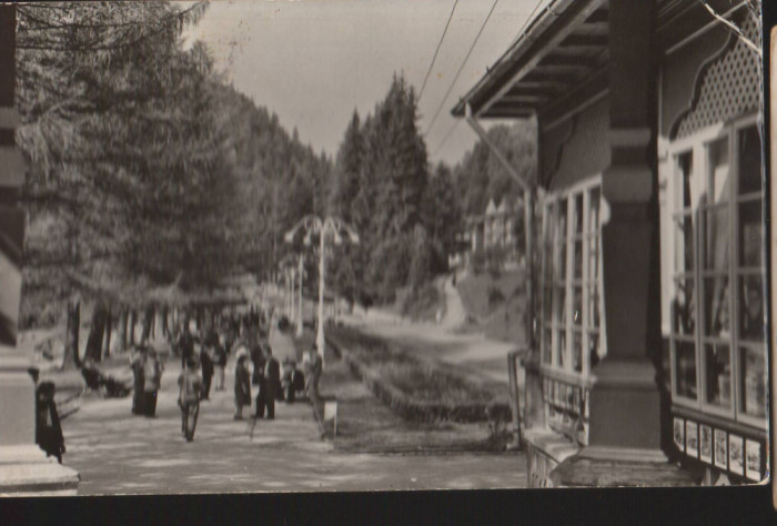 CPIB 21106 CARTE POSTALA - SLANIC MOLDOVA. VEDERE DIN PARC, RPR