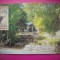 HOPCT 8278 STATIUNEA -EAGLES LANDING -NEVIS -MN -SUA-AMERICA DE NORD -NECIRCULATA-