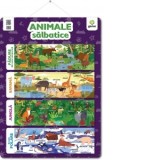 Plansa Animale salbatice