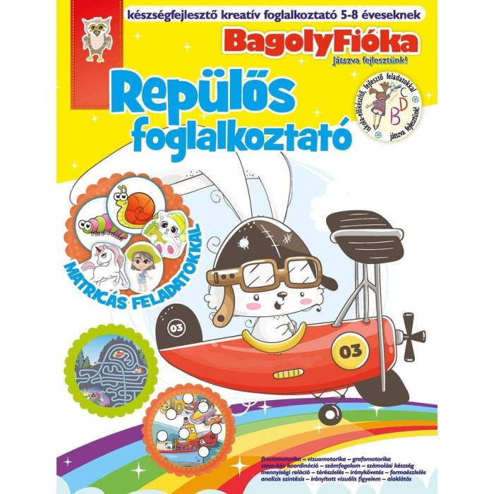 Bagolyfi&oacute;ka - Rep&uuml;lős Kreat&iacute;v matric&aacute;s foglalkoztat&oacute; - J&aacute;nossy-K&aacute;rm&aacute;n M&oacute;nika