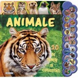 20 de sunete si curiozitati - Animale - Girasol