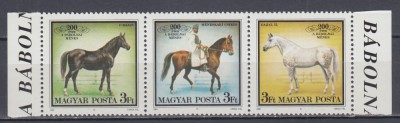 UNGARIA 1989 CAI DE RASA SERIE MNH foto