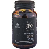 Fier Lipozomal 60 capsule Aronia Charlottenburg