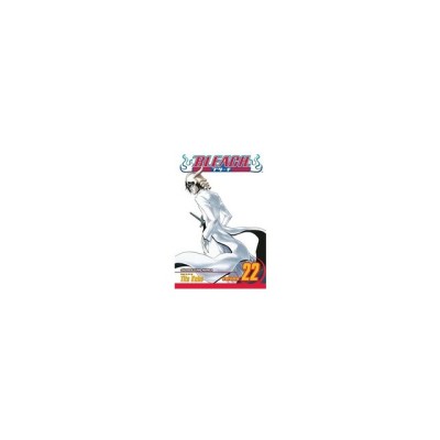 Bleach, Volume 22 foto