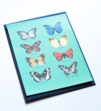 Felicitare - Fluturi in plic albastru inchis | The Creative Blossom