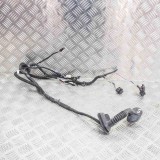 Cablaj ușă dreapta spate TESLA MODEL 3 2019 OEM: 2067966-00-A 12079953