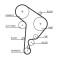 GATES 5559XS PowerGrip&reg; Curea de distributie