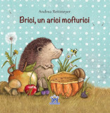 Brici, un arici mofturici - Hardcover - Andrea Reitmeyer - Didactica Publishing House