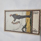 Carte postala rara a organizatiilor studentesti din Transilvania , anii 1920 , tipografia Gutenberg Lugos , Lugoj , tiraf foarte redus