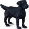 Figurina Labrador Retriever M Collecta