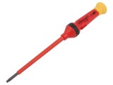 Tijă Torx TX10 100mm Interșanjabilă