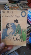 A kamelias bolgy &amp;amp;#8211; Dumas foto