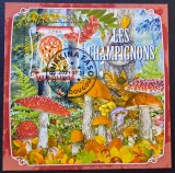 Ciuperci - Burkina Faso 2021 - Coliță Poștală Clathrus ruber Les Champignons (Ștampilată / CTO) CP1_II