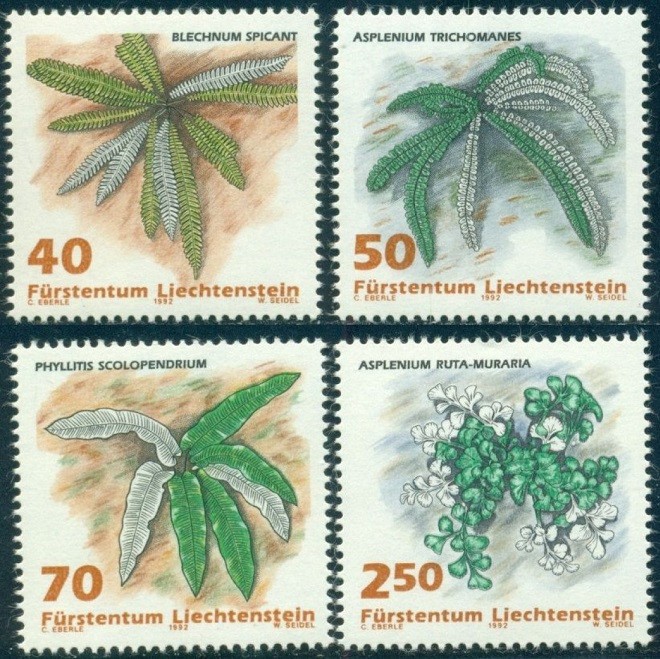 C4921 - Liechtenstein 1992 - Flora 4v.nestampilat MNH