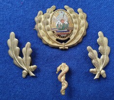 Insigna Militara Ofiter MEDIC Doctor - Coifura insemn cascheta SEMN DE ARMA foto