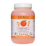 Sampon Iv San Bernard Orange NEW, pentru caini si pisici, 3l