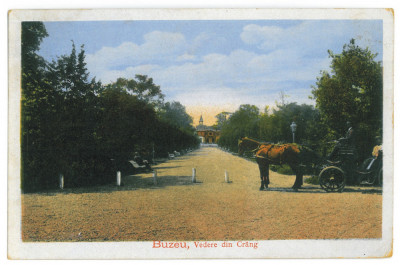 4830 - BUZAU, Park, Romania - old postcard - used - 1917 foto
