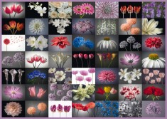 Puzzle 2000 piese - Floral Greeting | Schmidt