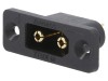 Conector alimentare DC XT90 30A, AMASS