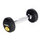 Gantera cu greutate fixa HMS HG PRO 2kg,