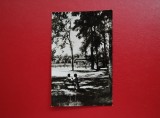CARTE POSTALA - RPR - CARANSEBES - PARCUL TEIUS