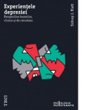 Experientele depresiei. Perspective teoretice, clinice si de cercetare - Sidney J. Blatt, Vlad Vedeanu