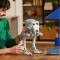 Robotul biped AT-ST - 5