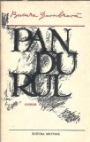 Cumpara ieftin Pandurul Bucura Dumbrava Editura Militara 1981 Roman Clasic Literatura Romana Carte Veche 350 Pagini