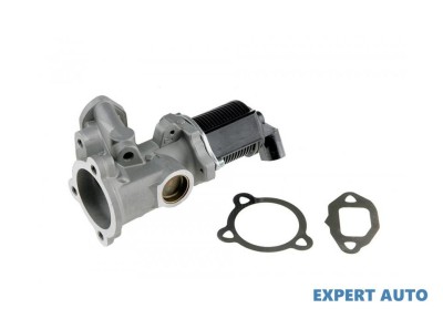 Supapa egr Ford Ka (2008-&amp;gt;)[RU8] #1 foto