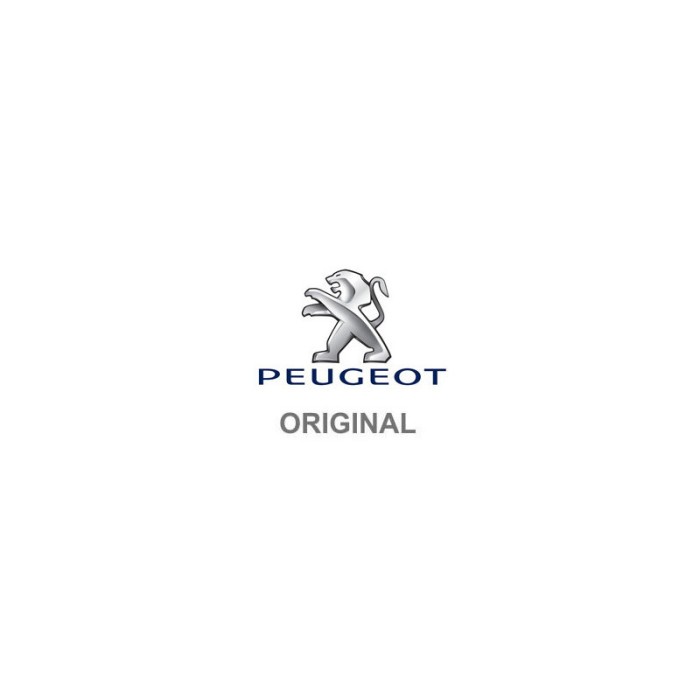 PEUGEOT 9675805980 Ghidaje, lant distributie
