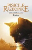 Rasarit. Seria Pisicile razboinice. Puterea celor trei. Volumul 18/Erin Hunter