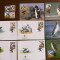 falkland - pinguini - serie 4 timbre MNH, 4 FDC, 4 maxime, fauna wwf