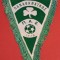 Fanion (model vechi) - PANATHINAIKOS ATENA (Grecia)