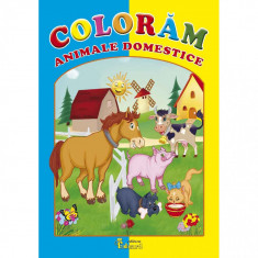 Coloram Animale Domestice foto