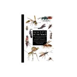 Wasps of the World: A Guide to Every Family