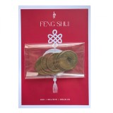Set 10 monede chinezesti mari feng shui pentru noroc