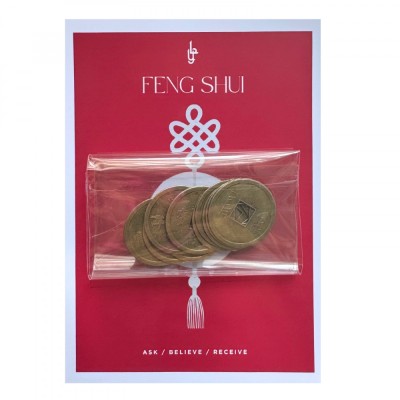 Set 10 monede chinezesti mari feng shui pentru noroc foto
