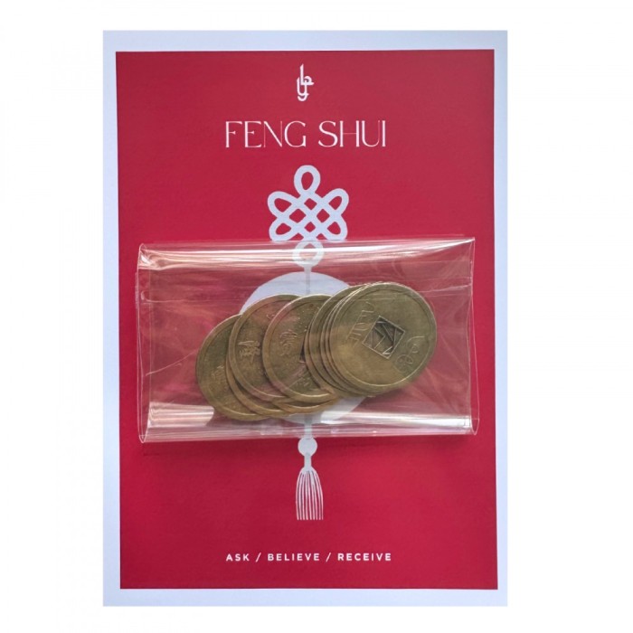 Set 10 monede chinezesti mari feng shui pentru noroc