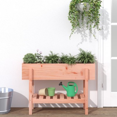 Gossi strat inaltat de gradina, 101x30x69 cm, lemn masiv douglas foto